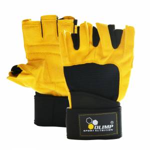 Hardcore raptor gloves