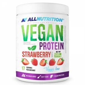 Vegan Protein (500g)
