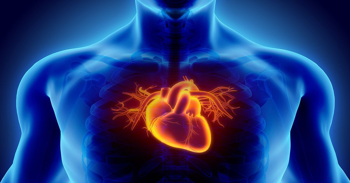FitFatory iesaka: kā sportistiem uzlabot sirds veselību?