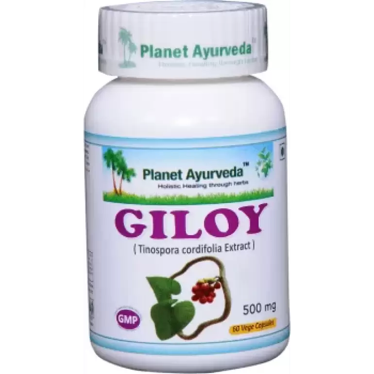 Giloy (60 kapsulas)