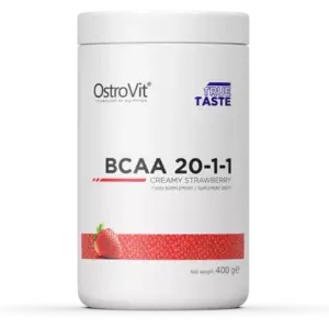 BCAA 20:1:1 (400g)