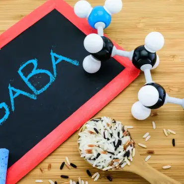 5 ieguvumi, ko sniedz GABA jeb Gamma aminosviestskābe