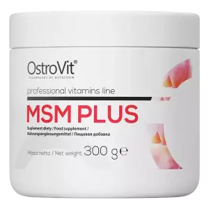 MSM PLUS PULVERIS (300g)