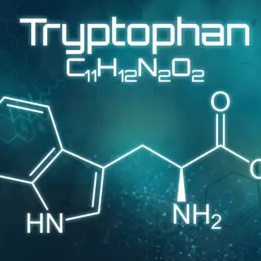 Triptofāns sporta uzturā: veselības priekšrocības