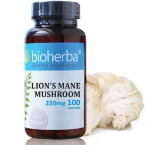 Lions Mane Mushroom + ZINC (100 kapsulas)