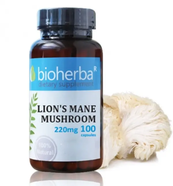 Lions Mane Mushroom + ZINC (100 kapsulas)