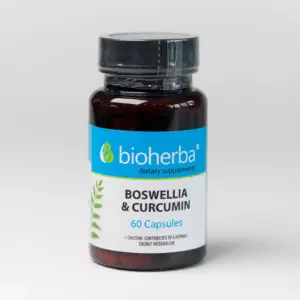 Bosvēlija & kurkuma / Boswellia & Curcumin (60 kapsulas)