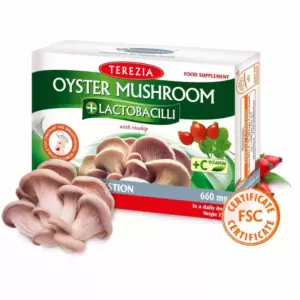 Oyster Mushroom + Lactobacilli (60 kapsulas)