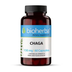 Čaga / Chaga (60 kapsulas)