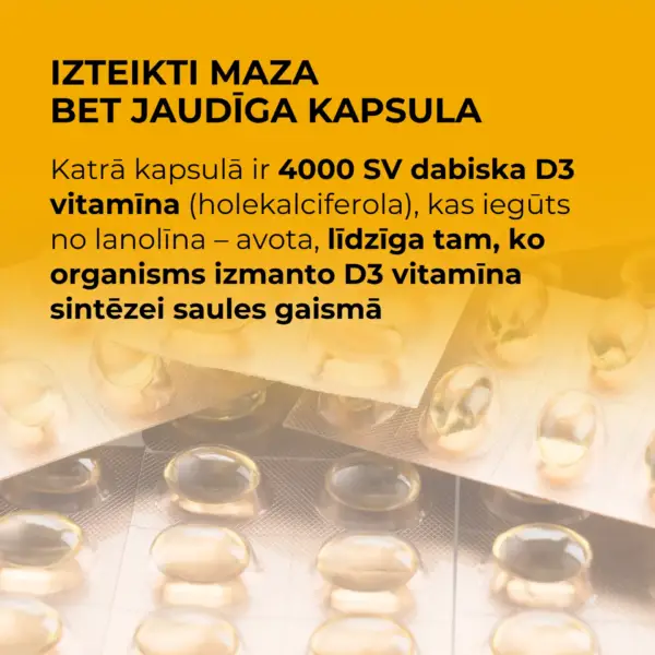 Vitamīns D3 / LYL SunD3 PRO CAPS (60 kapsulas) - Image 4